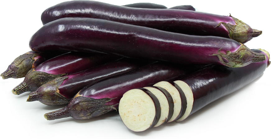 Chinese Eggplant-HN