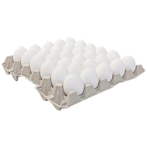 LARGE WHITE EGGS