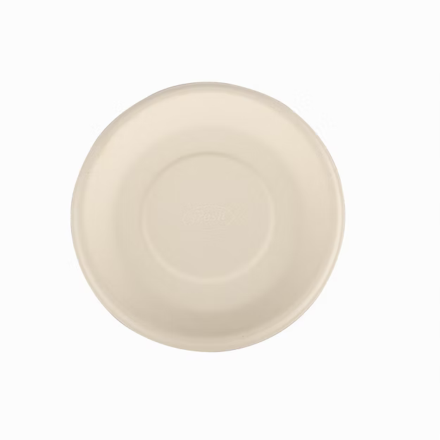 Plate 9"