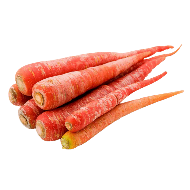 INDIAN CARROT