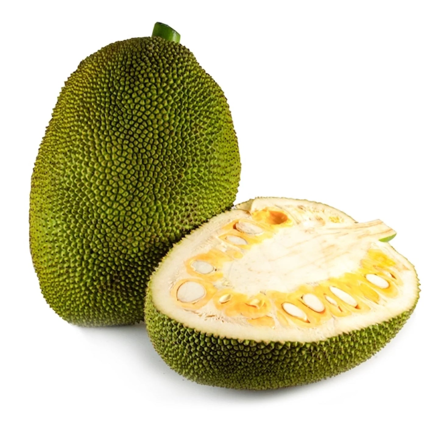 JackFruit Green(Bread Nut)