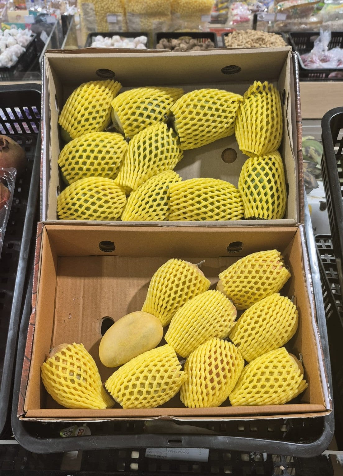 KESAR MANGO