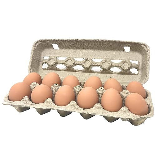 LARGE DESI EGGS CARTON
