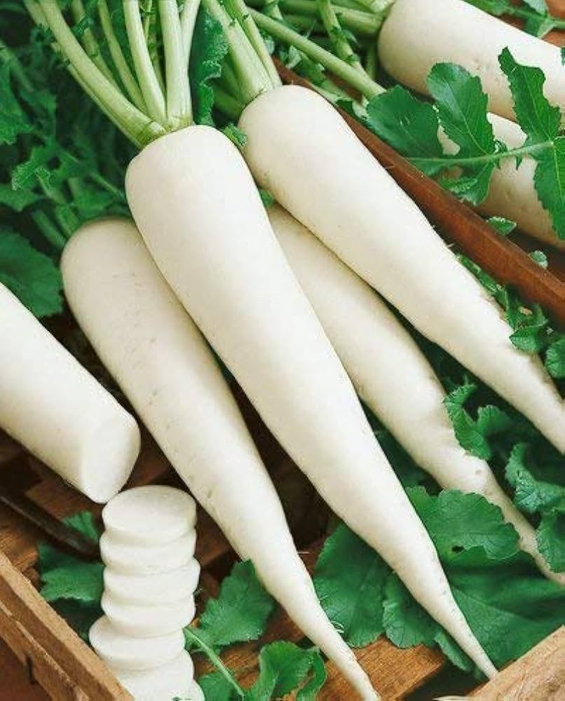 RADISH (Ontario Food)