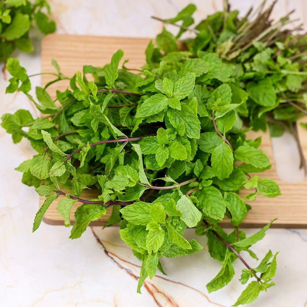 MINT (Ontario Food)