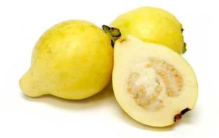 GUAVA EGYPT (Ontario Food)