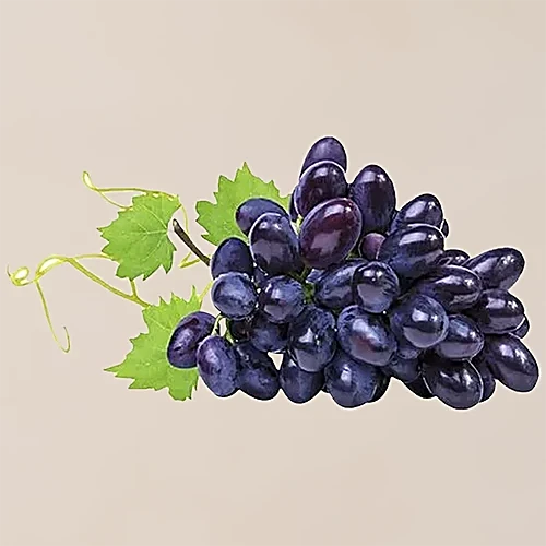 GRAPES BLACK (Ontario Food)
