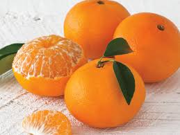TANGERINE (Ontario Food)
