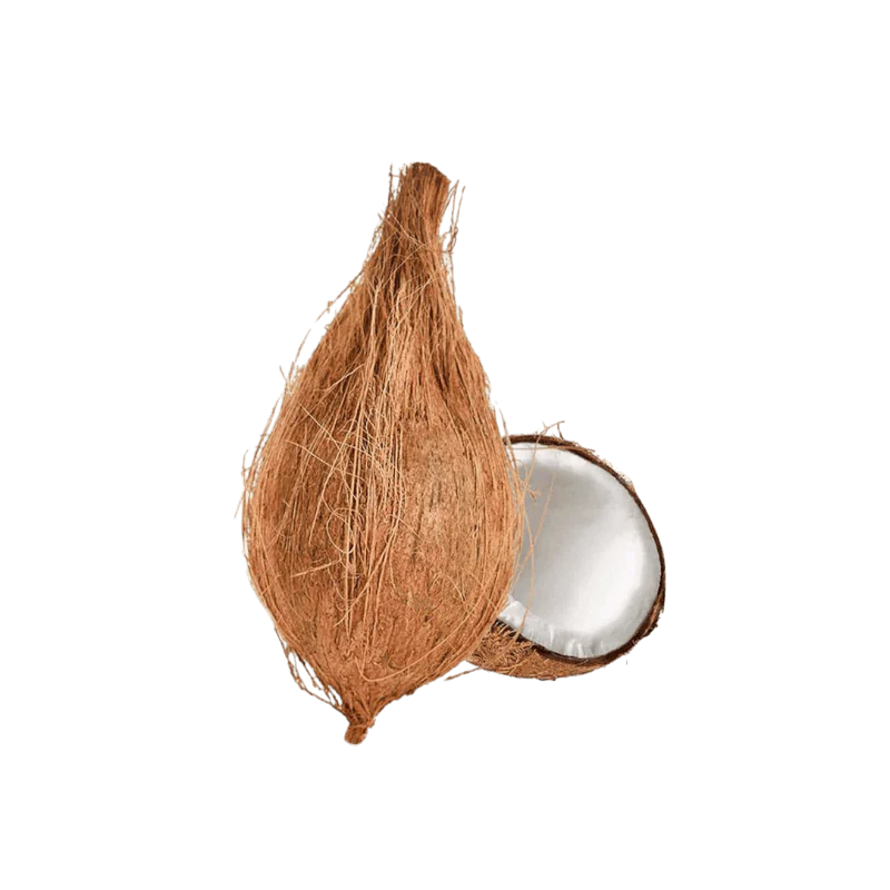 Puja Coconut