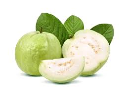 Guava Florida