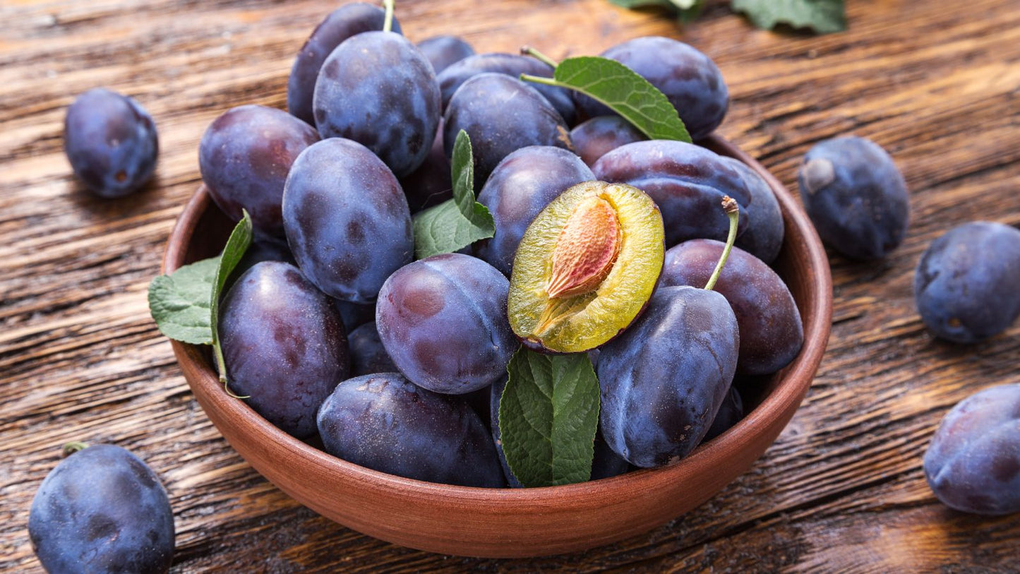 PLUM (Ontario Food)