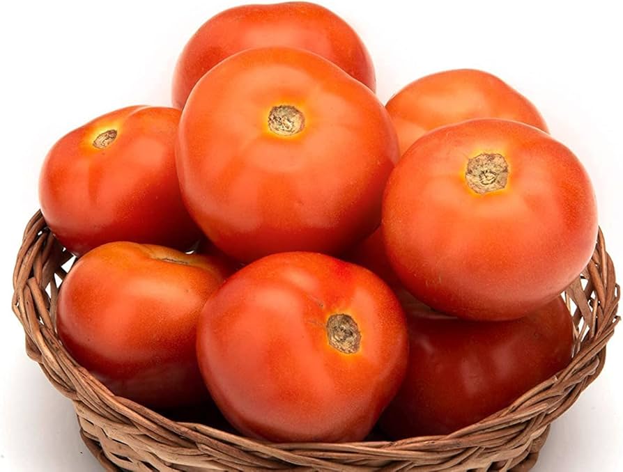 TOMATOES (Ontario Food)