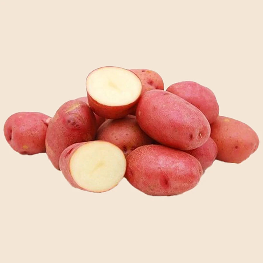 RED POTATO BAG (Ontario Food)