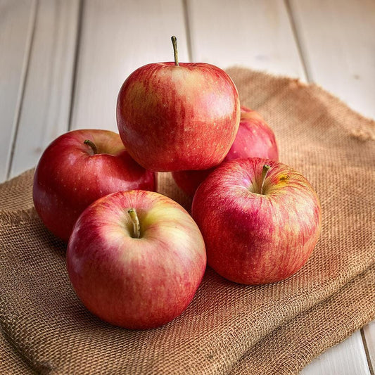 APPLE FUJI (Ontario Food)