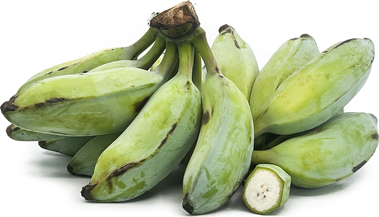 Ash Plantain