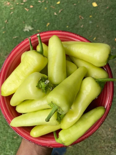 BANANA PEPPER (Ontario Food)