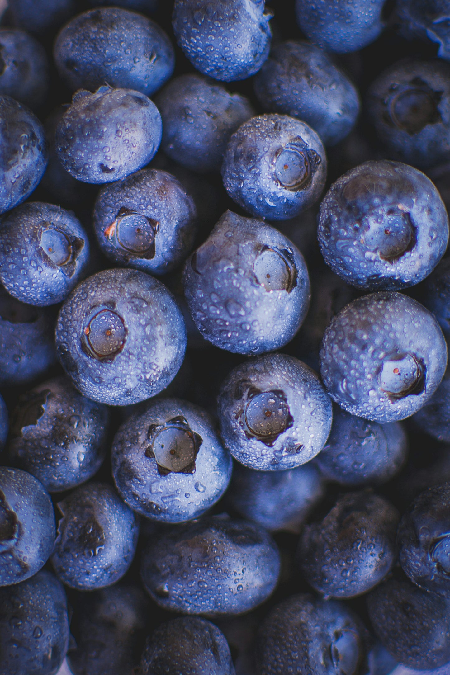 BLUEBERRY (Ontario Food)