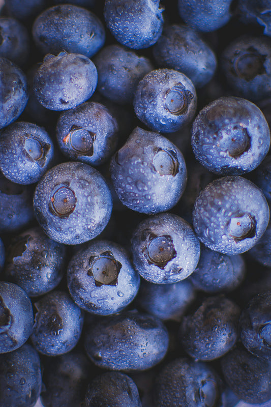 BLUEBERRY (Ontario Food)