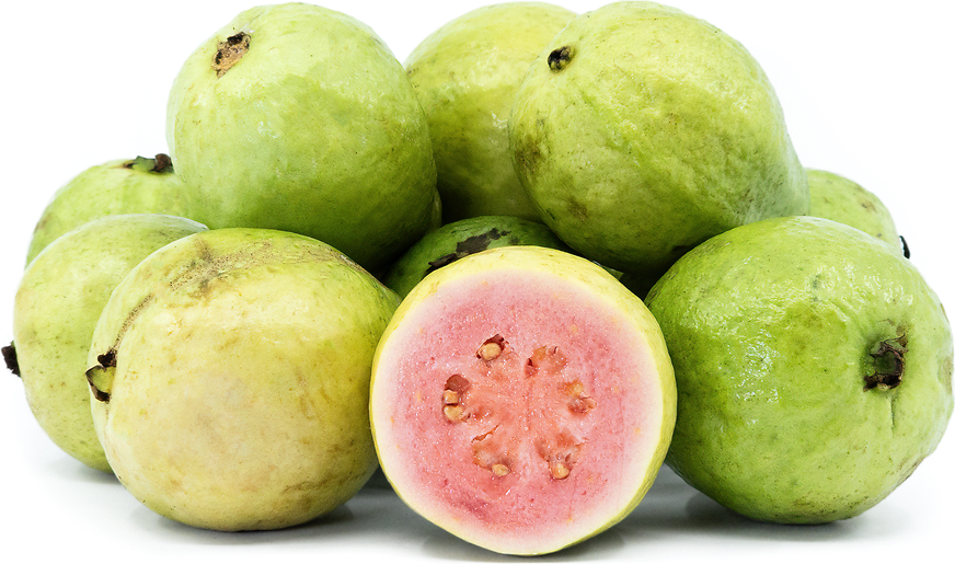GUAVA RED (Ontario Food)