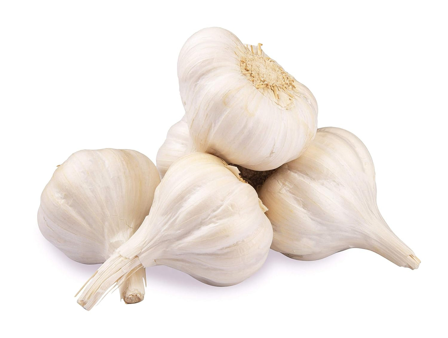Garlic (3 pack)