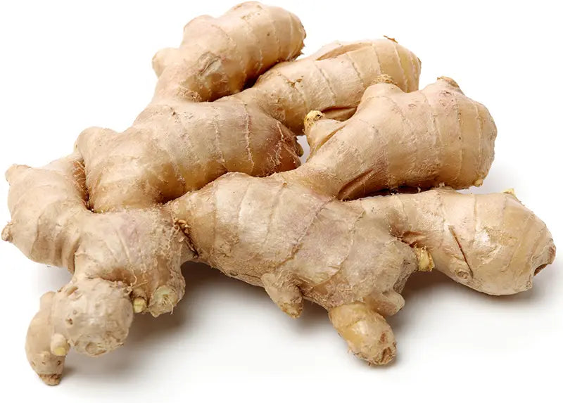 INDIAN GINGER (Ontario Food)