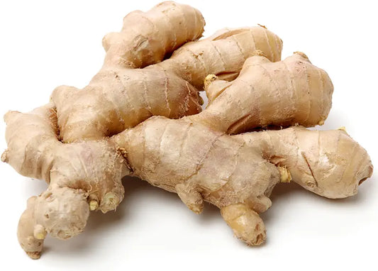INDIAN GINGER (Ontario Food)