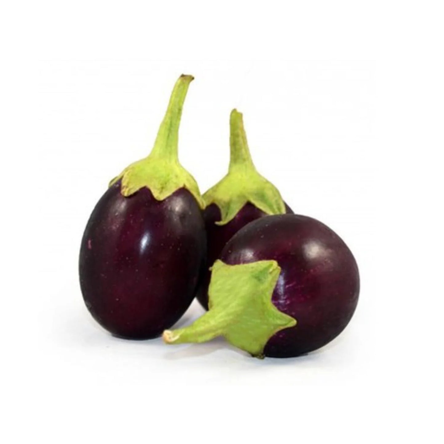 Indian Eggplant-MX