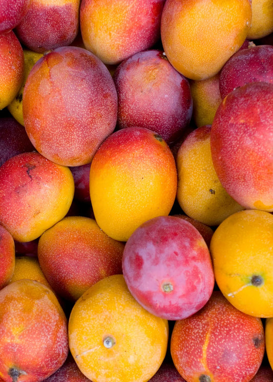 MANGO HADEN (Ontario Food)
