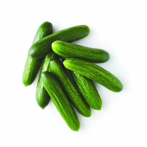 MINI CUCUMBER