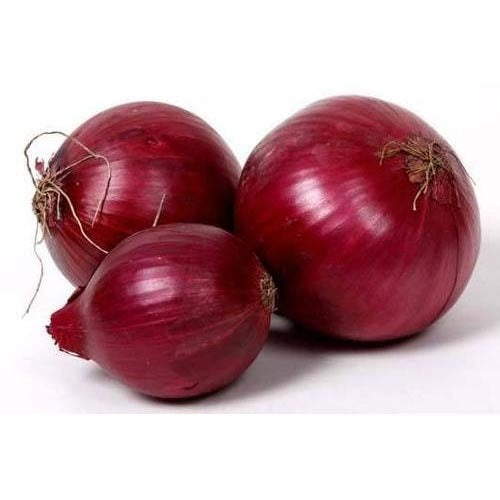 ONION RED (Ontario Food Terminal)
