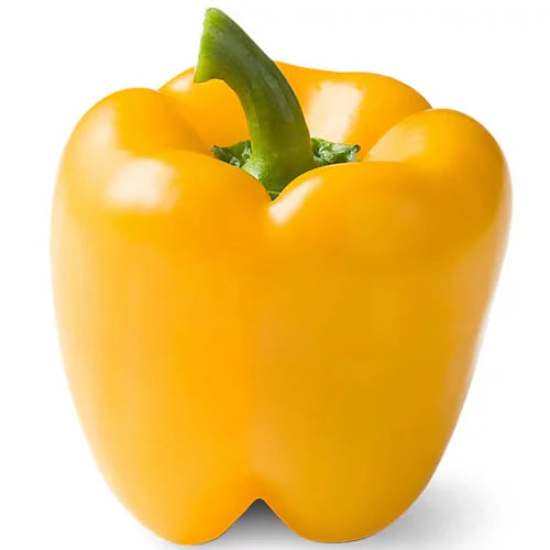 PEPPER YELLOW