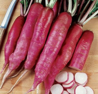 PINK RADISH (Ontario Food)