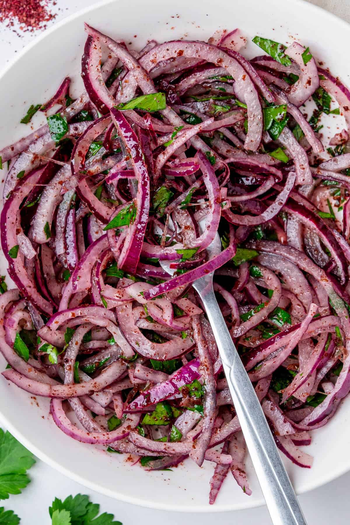 Vinegar Onion Tray