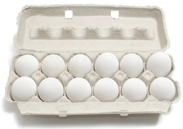 VITAL-V WHITE LARGE EGGS