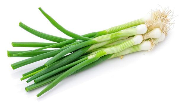 GREEN ONION (Ontario Food)