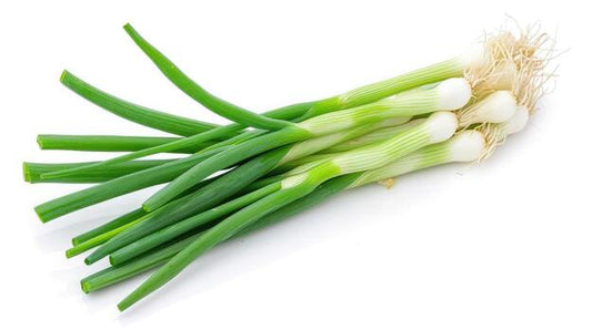 GREEN ONION (Ontario Food)