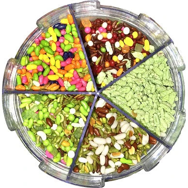 Global Choice Mouth Freshener 5 in 1 Mix Fennel