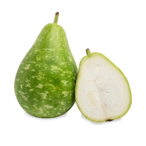 Bengali Squash -MX