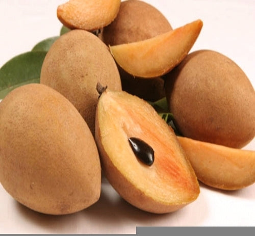 Chikoo Indian